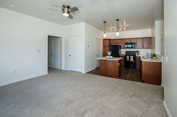Fully equipped electric kitchens